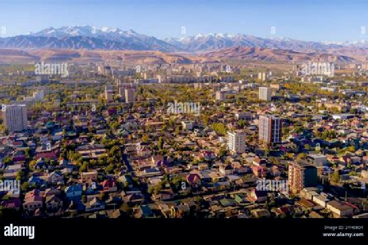 Nora, 37 — Escort in Kant, Kyrgyzstan