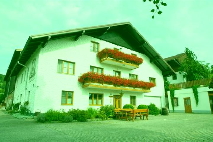Nora, 37 — Escort in Kirchberg an der Pielach, Austria