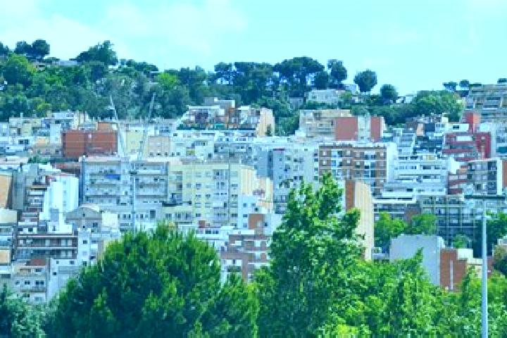 Nora, 37 — Escort in la Teixonera, Spain