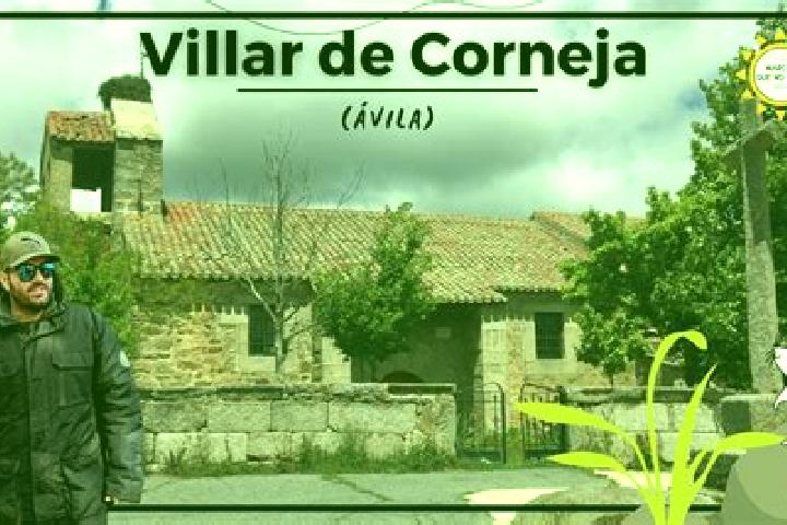 Nora, 37 — Escort in Malpartida de Corneja, Spain