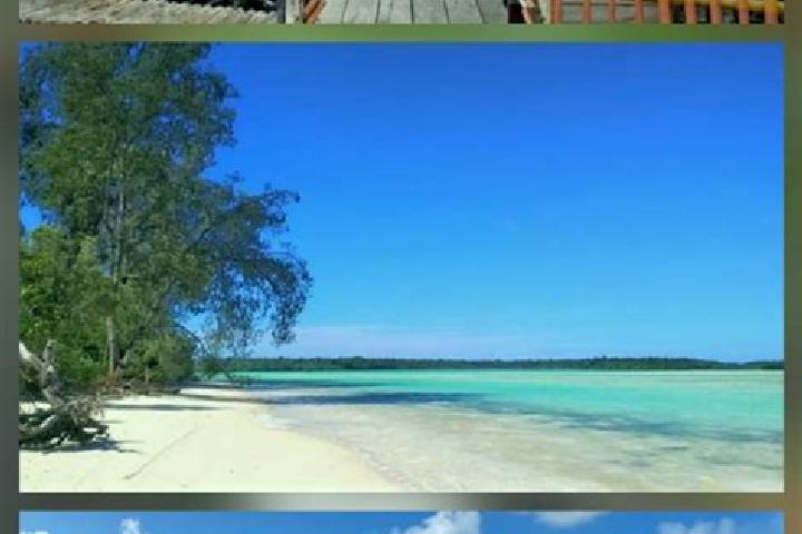 Nora, 37 — Escort in Pulau Tiga, Indonesia