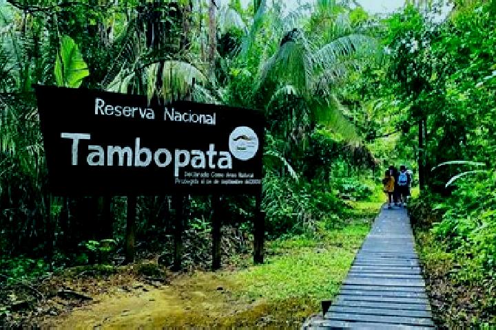 Nora, 37 — Escort in Tambopata, Peru