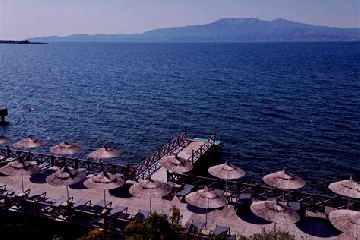 Nora, 38 — Escort in Dionysos, Greece