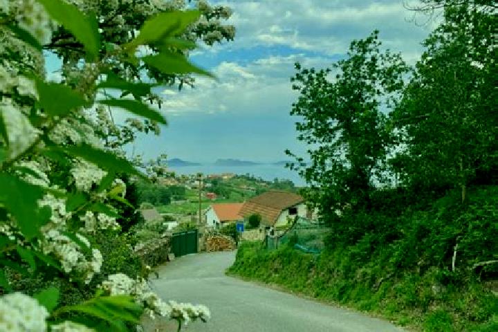 Nora, 38 — Escort in Espinosa del Camino, Spain