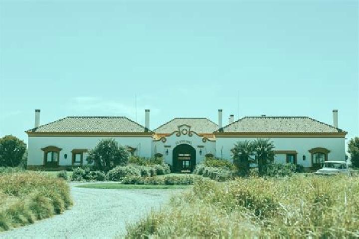 Nora, 38 — Escort in La Estancia de Amezcua, Mexico
