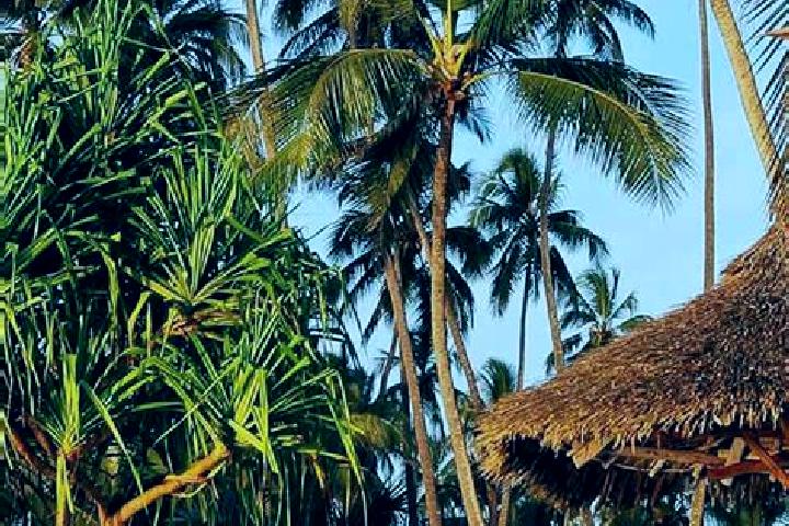Nora, 38 — Escort in Nyalikungu, Tanzania