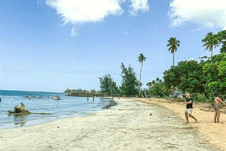 Nora, 38 — Escort in Playa Fortuna, Puerto Rico