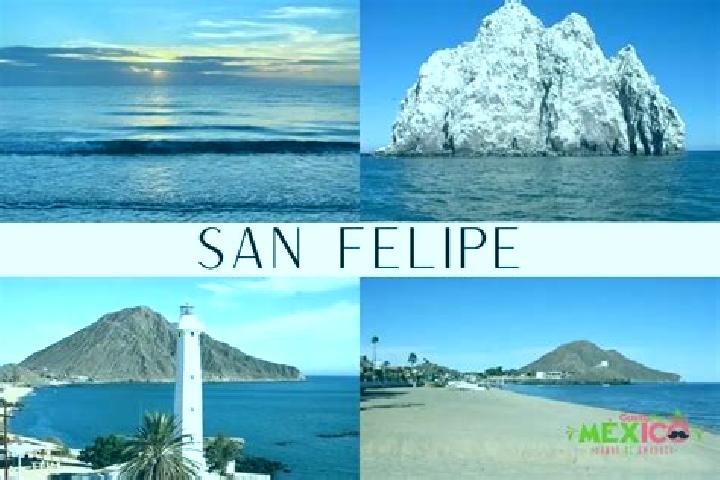 Nora, 38 — Escort in San Felipe Pueblo, United States
