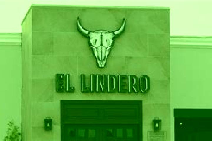 Nora, 38 — Escort in Torrecillas (El Lindero), Mexico