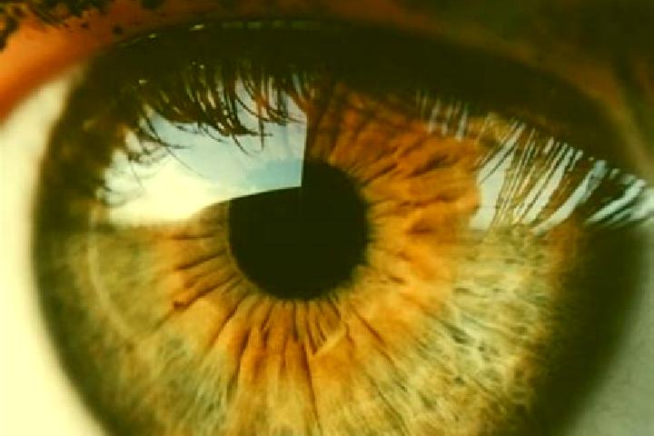 Nora, 39, a blonde hazel-eyed mediterranean companion based in Santa Maria. Offering A-Level, GFE, 69, Couples. Available for incall and outcall, overnight b...