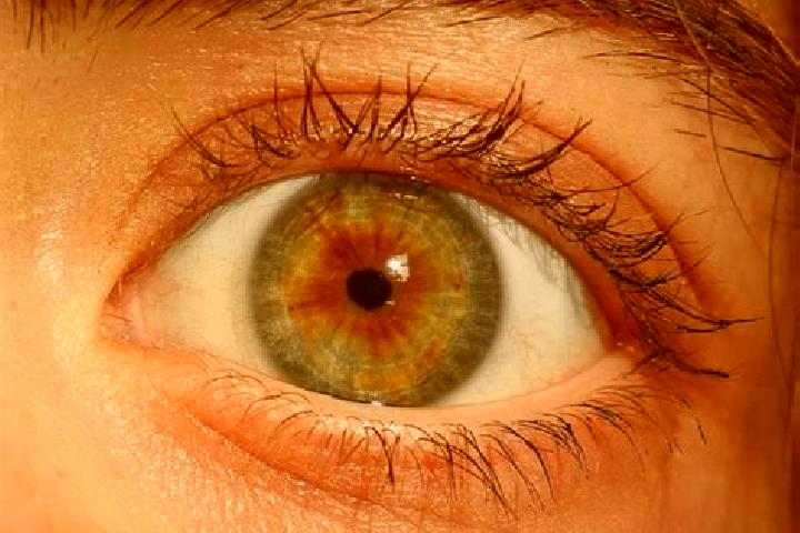 Nora, 39, a red hazel-eyed middle eastern companion based in Pura. Offering Tantra, GFE, Party Girl. Available for incall and outcall, overnight bookings ava...