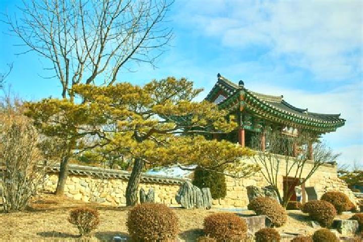 Nora, 39 — Escort in Cheongpung, South Korea