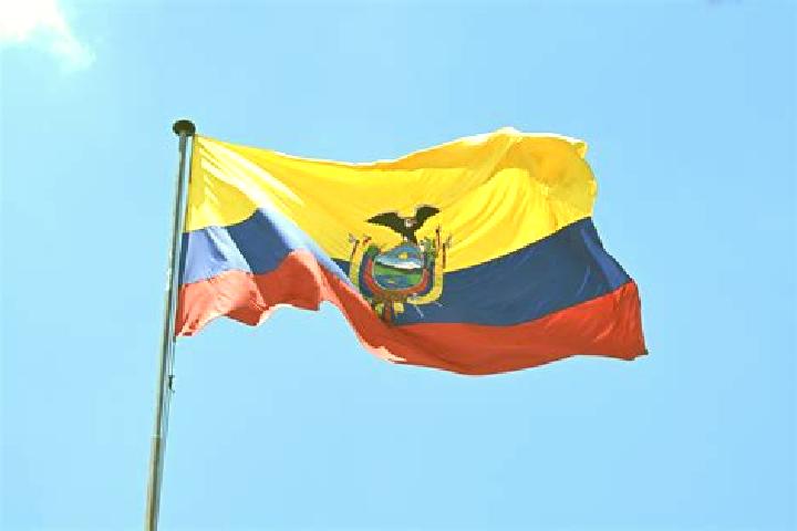 Nora, 39 — Escort in El Esfuerzo, Ecuador