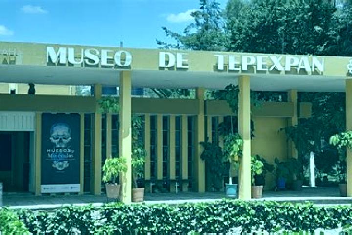 Nora, 39 — Escort in Manzana Tercera de Santa Cruz Tepexpan, Mexico