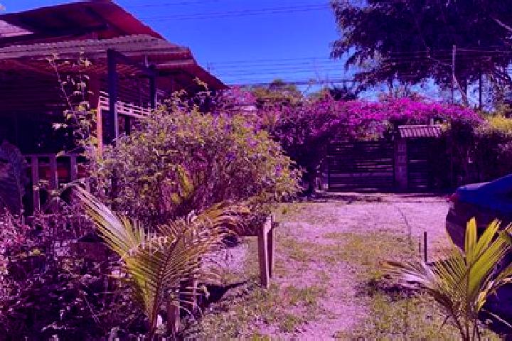 Nora, 39 — Escort in Sabalito, Costa Rica
