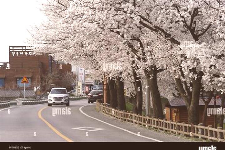 Nora, 39 — Escort in Sangju, South Korea