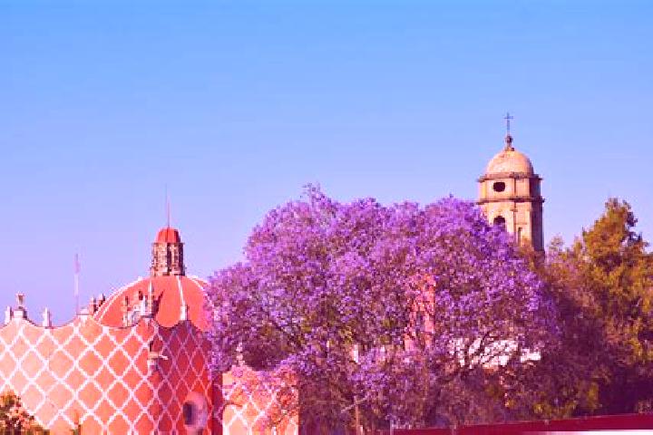 Nora, 39 — Escort in Tlahuac, Mexico