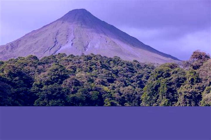 Nova, 20 — Escort in Arenal de Gomez (Primer Arenal), Mexico