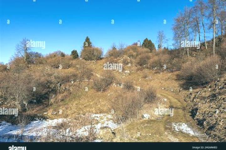 Nova, 20 — Escort in Bosco Chiesanuova, Italy
