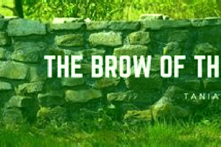 Nova, 20 — Escort in Brow of the Hill, Canada
