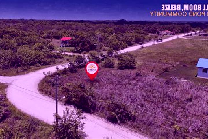 Nova, 20 — Escort in Burrell Boom, Belize