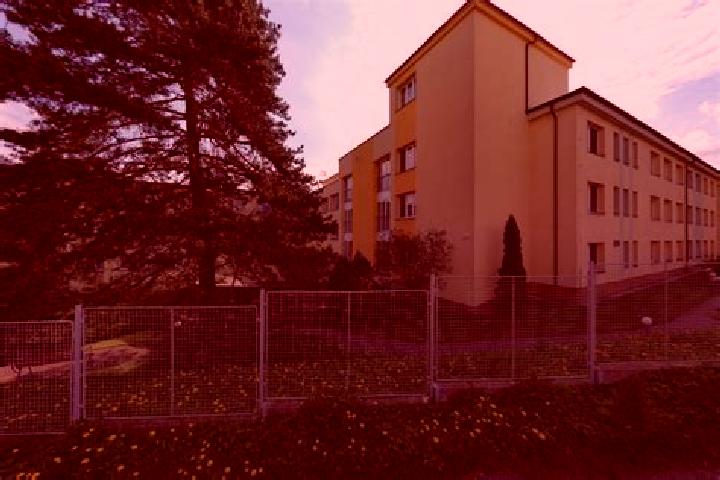 Nova, 20 — Escort in Jakubcovice nad Odrou, Czech Republic