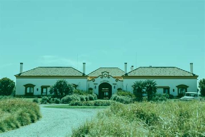 Nova, 20 — Escort in La Estancia de Amezcua, Mexico
