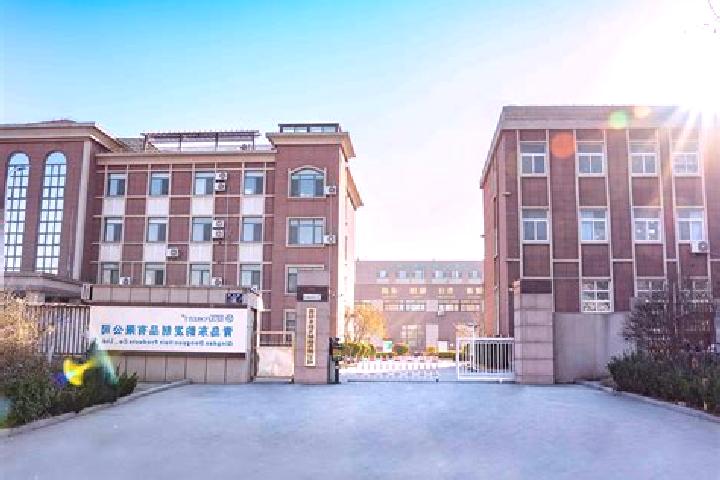Nova, 20 — Escort in Ligezhuang, China