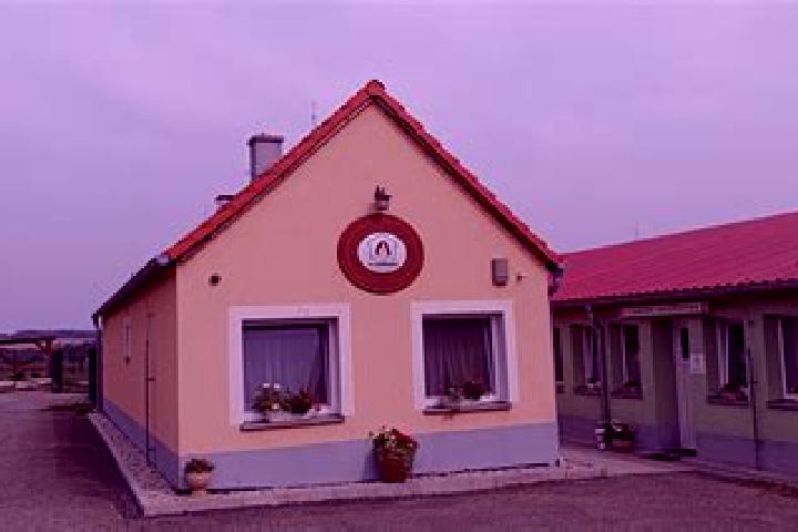 Nova, 20 — Escort in Mecholupy, Czech Republic