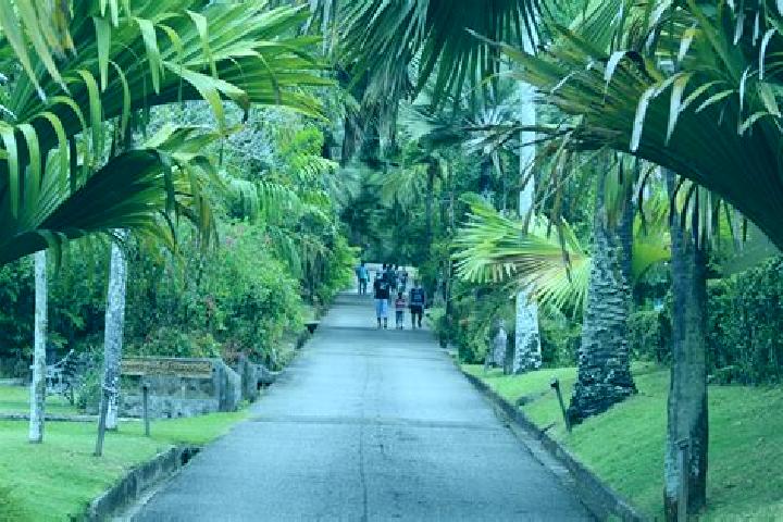 Nova, 20 — Escort in Mont Fleuri, Seychelles