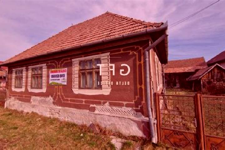 Nova, 20 — Escort in Rusu Bargaului, Romania