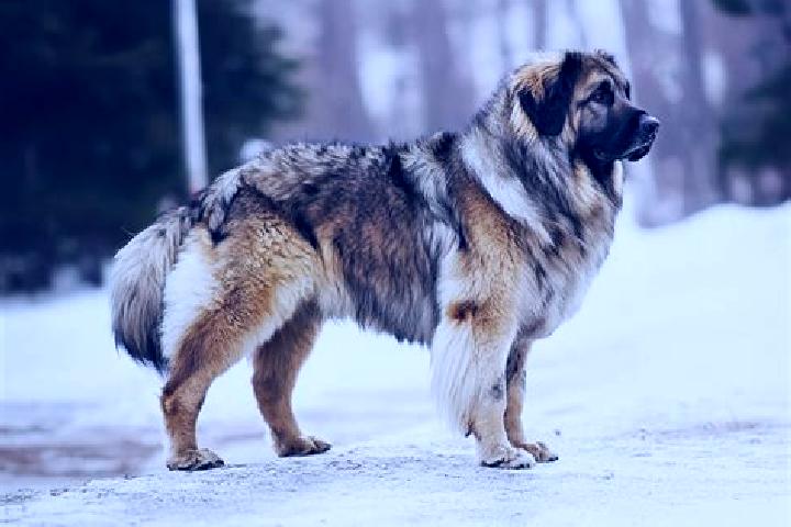 Nova, 21, a black brown-eyed caucasian companion based in Giroba Kunda. Offering Striptease, OWO, Roleplay, Travel Companion. Available for incall and outcal...