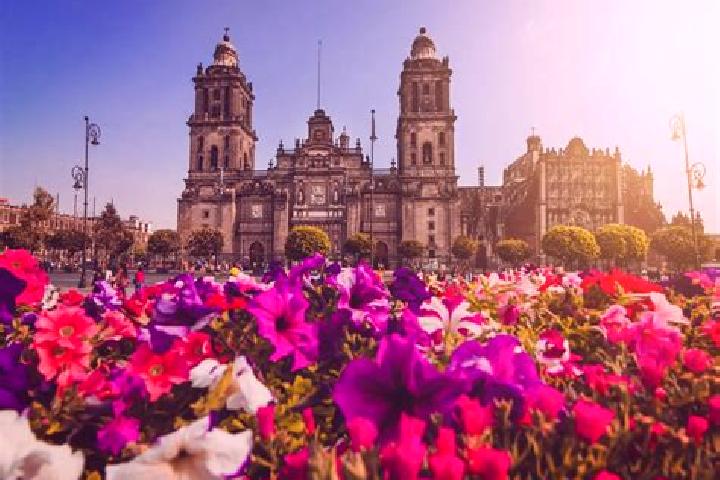 Nova, 21 — Escort in Ciudad Delicias, Mexico