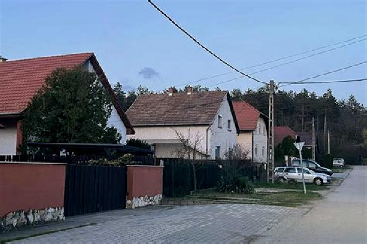 Nova, 21 — Escort in Ercsi, Hungary