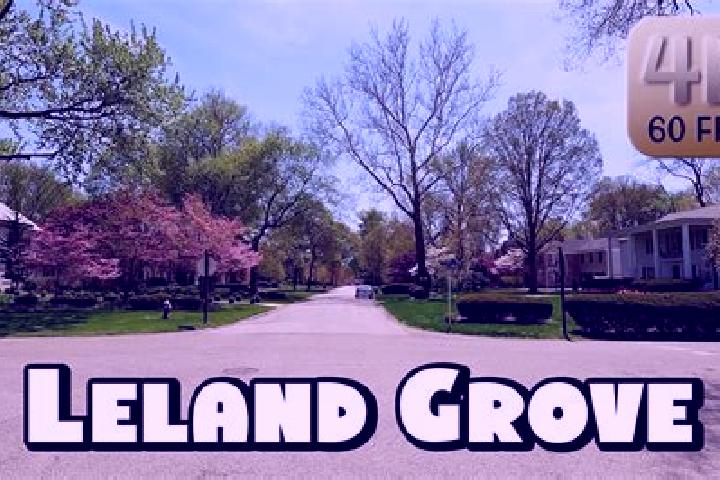 Nova, 21 — Escort in Leland Grove, United States