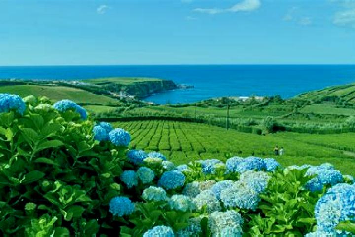 Nova, 21 — Escort in Sao Miguel do Couto, Portugal