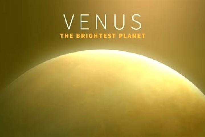Nova, 21 — Escort in Venus, United States