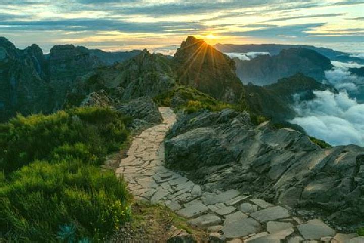 Nova, 22 — Escort in Areeiro, Portugal