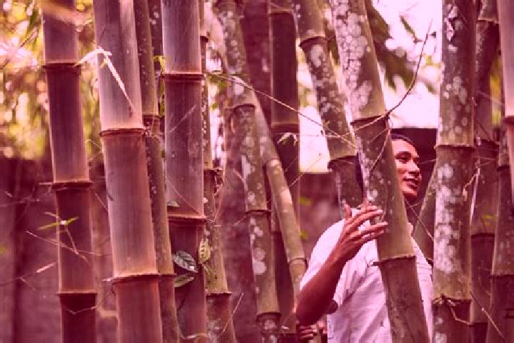 Nova, 22 — Escort in Bamboo Flat, India