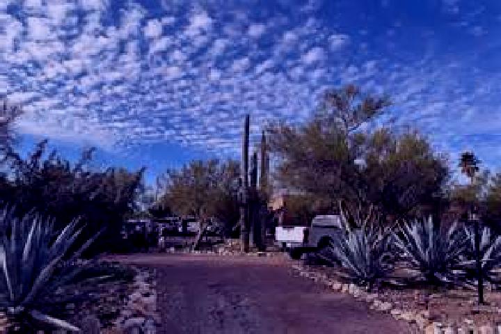 Nova, 22 — Escort in Catalina Foothills, United States