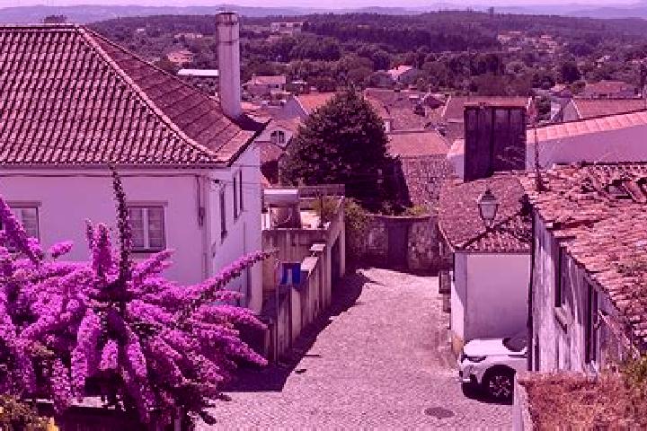 Nova, 22 — Escort in Figueiro dos Vinhos, Portugal