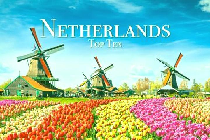Nova, 22 — Escort in Lomm, Netherlands