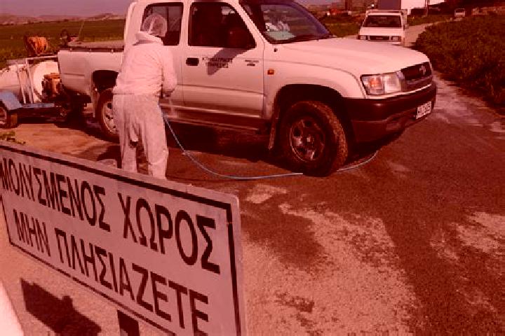 Nova, 22 — Escort in Mammari, Cyprus