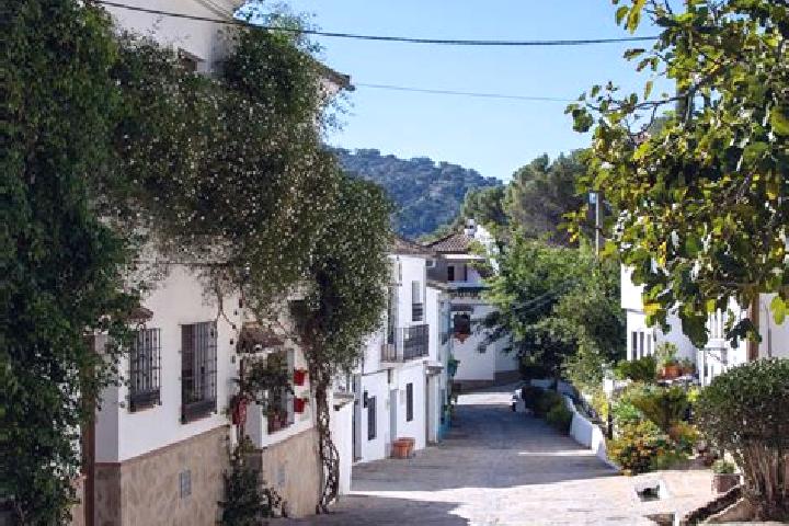 Nova, 22 — Escort in Montecorto, Spain