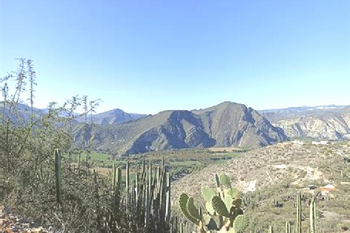 Nova, 22 — Escort in San Juan Tepecoculco, Mexico