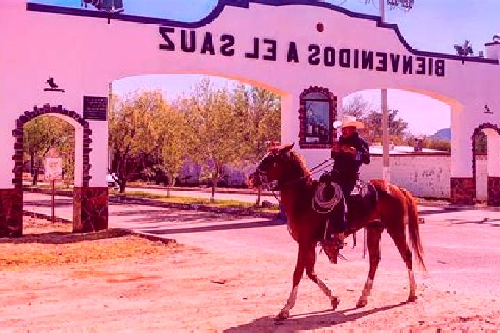 Nova, 22 — Escort in Sauz de San Lucas (El Sauz), Mexico