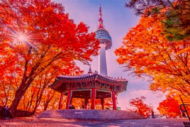 Nova, 22 — Escort in Sindo, North Korea