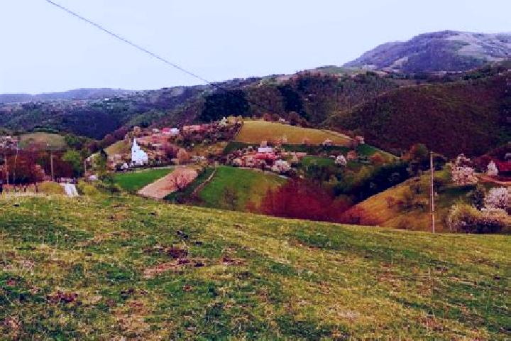 Nova, 22 — Escort in Valea Anei, Romania