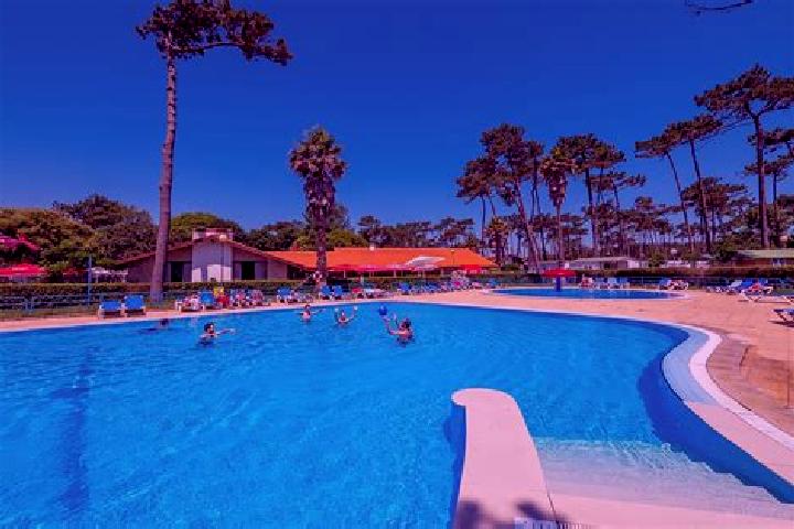 Nova, 22 — Escort in Vila Nova de Ceira, Portugal