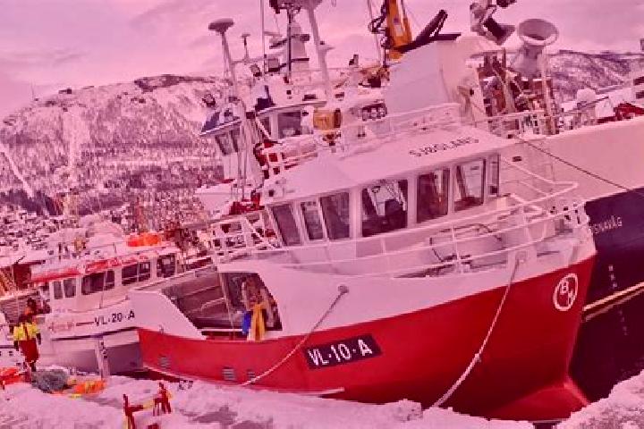 Nova, 23 — Escort in Breivikbotn, Norway